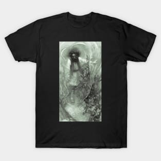 Captain Goldsack by Howard Pyle T-Shirt